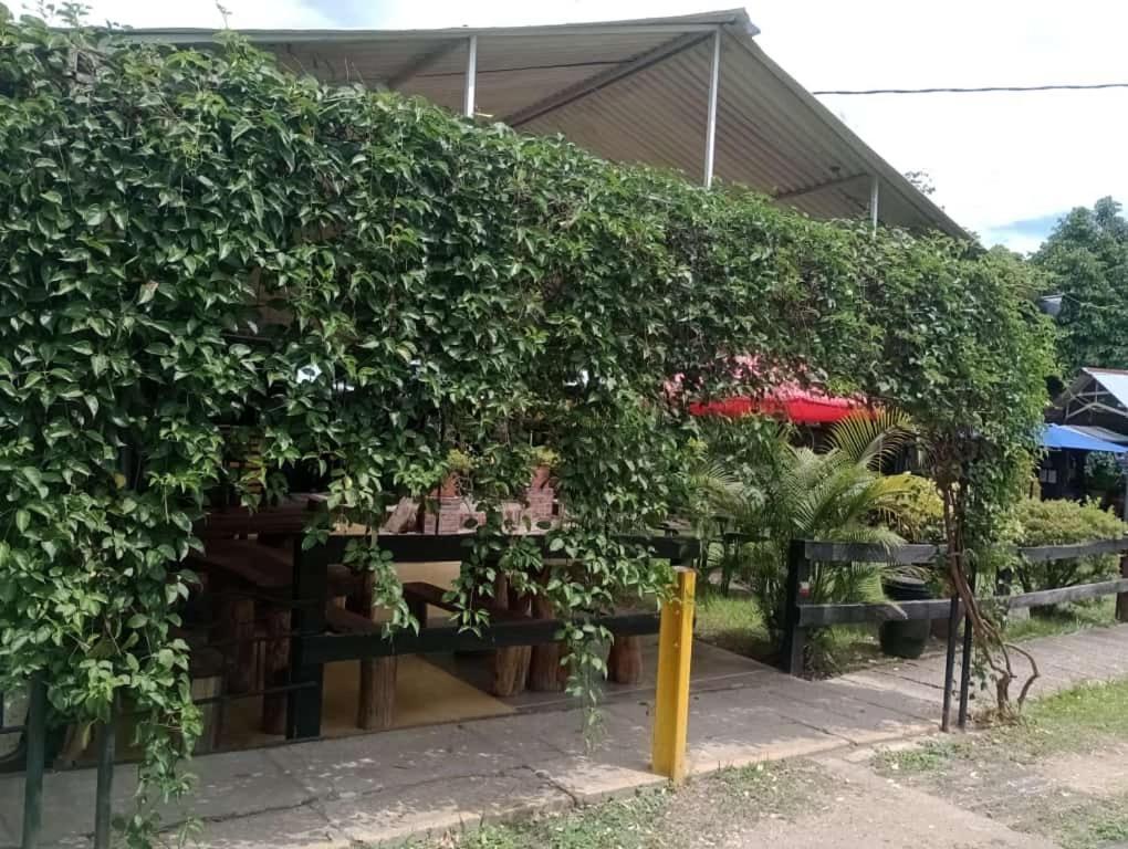 Loma Linda Hotel De Naturaleza 라 메사 외부 사진